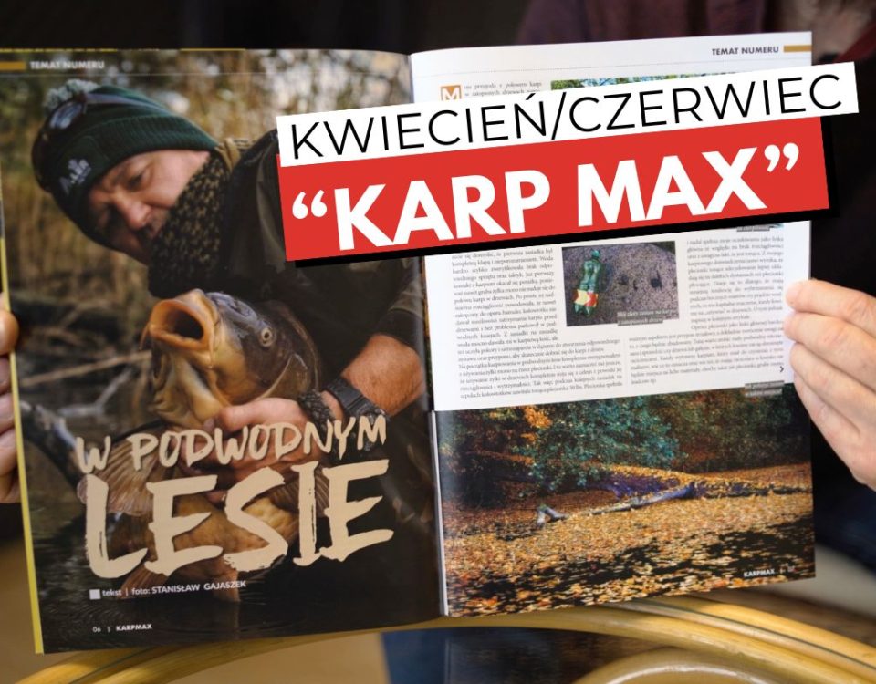 Jak łowić karpie przy zatopionych drzewach