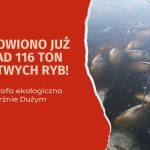 Dzierżno Duże katastrofa ekologiczna
