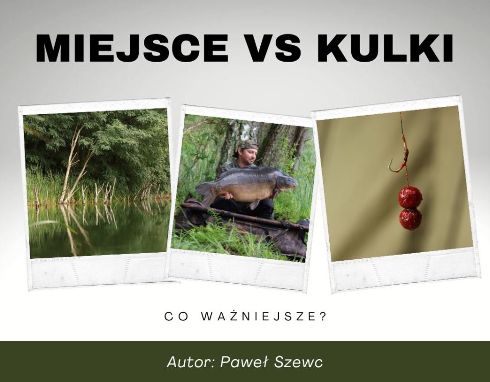 Czy dobre miejsce wystarczy, czy potrzebujesz dobrej kulki, aby złowić karpia?