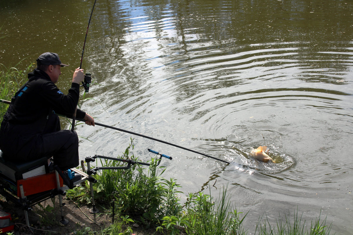 method feeder