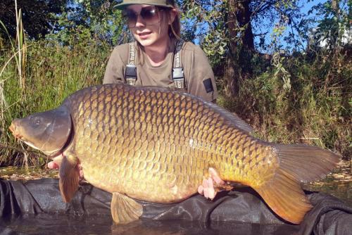 Karp 31,1 kg - Magdalena Imiełowska