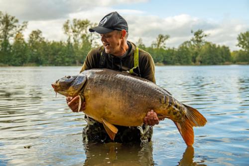 Karp 31,50 - Roman-Wietrzykowski